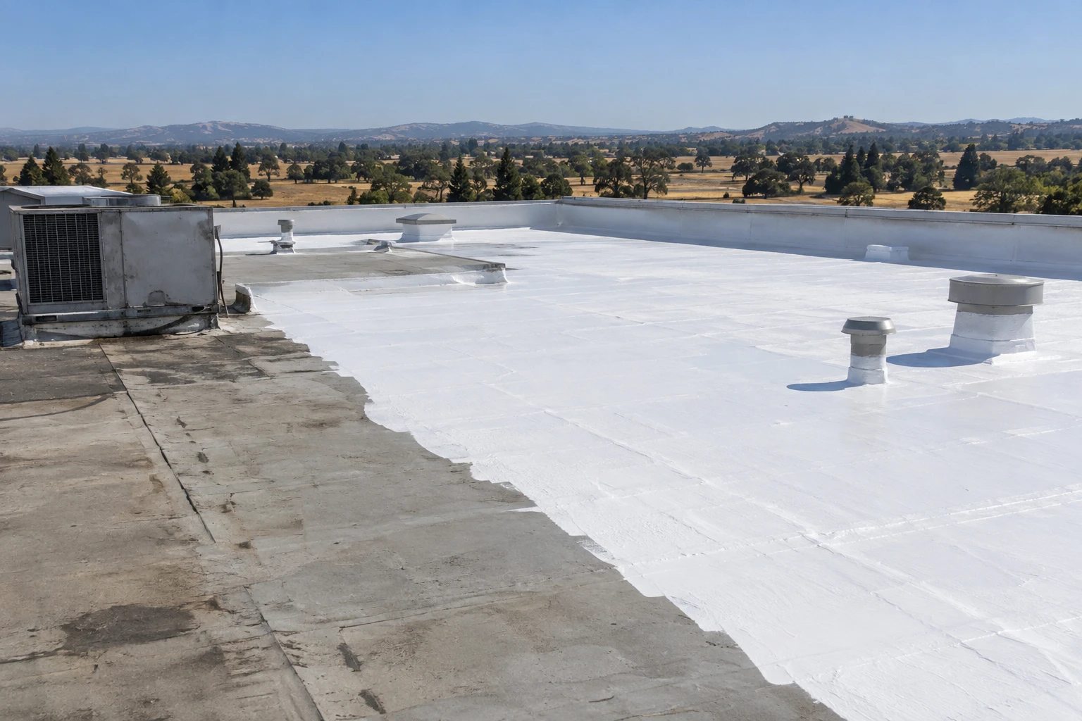 Acrylic Roof Coatings in Roseville, CA